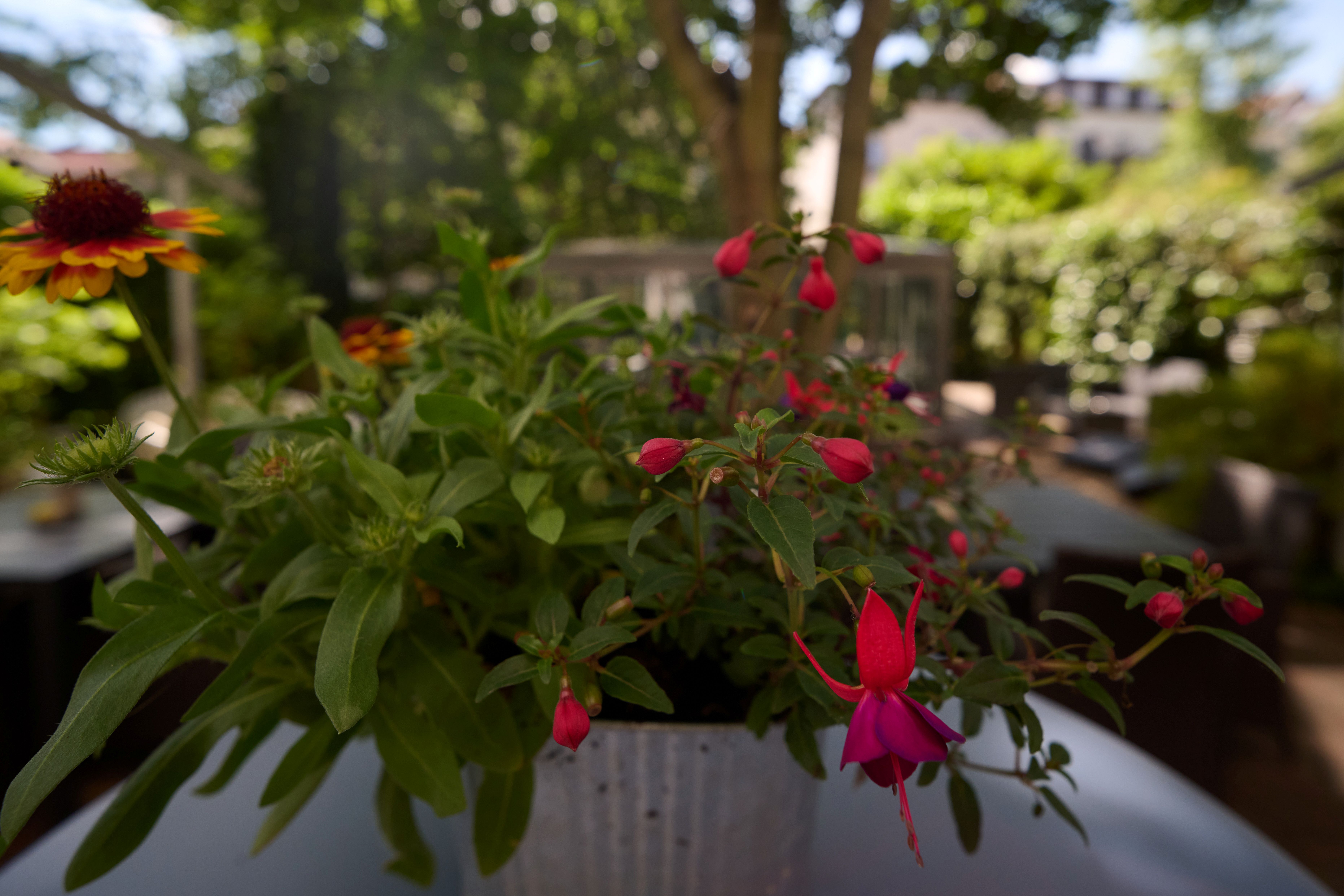 Blick ins Garten und Auenwald Hotel Aussenansicht