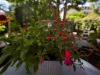 Blick ins Garten und Auenwald Hotel Aussenansicht